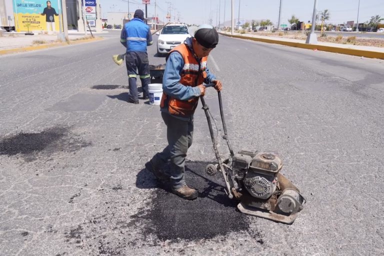 WhatsApp Image 2025-07-28 at 1.37.02 PM (3)