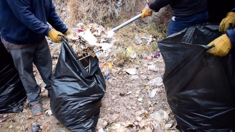 WhatsApp Image 2025-07-29 at 8.46.09 AM (1)