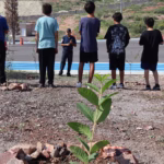 WhatsApp Image 2025-07-29 at 9.36.56 AM (3)