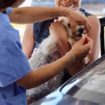 WhatsApp Image 2025-07-30 at 10.21.37 AM (1)