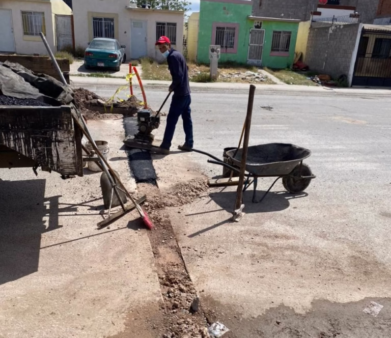 WhatsApp Image 2025-07-30 at 10.56.36 AM