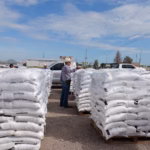 WhatsApp Image 2025-07-31 at 12.47.12