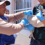 WhatsApp Image 2025-07-31 at 9.32.17 AM