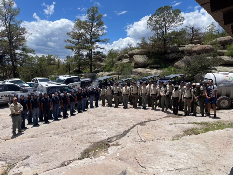 WhatsApp Image 2025-07-31 at 9.59.58 AM