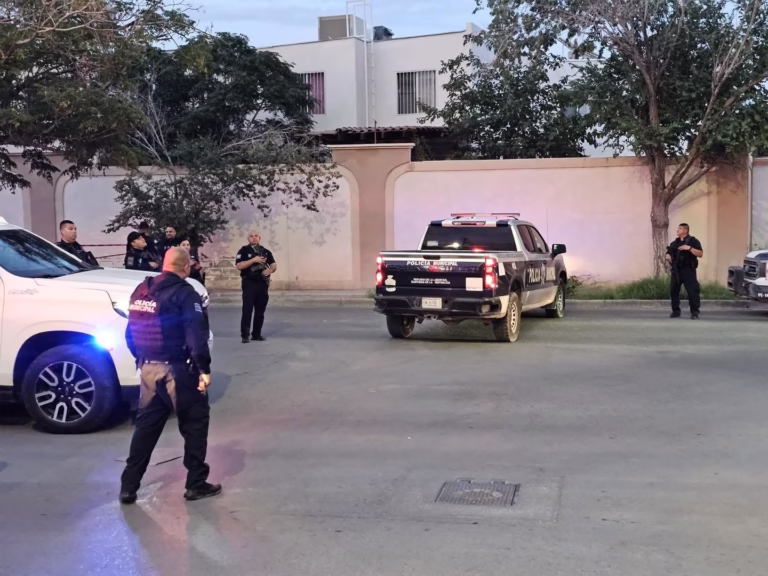 531773661_1329040385892281_450823234449319216_n