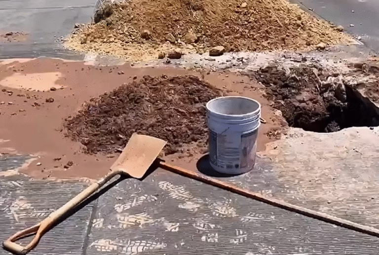 Captura de pantalla 2025-08-01 123531