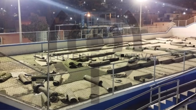 Diseño sin título - 2025-08-25T081429.780