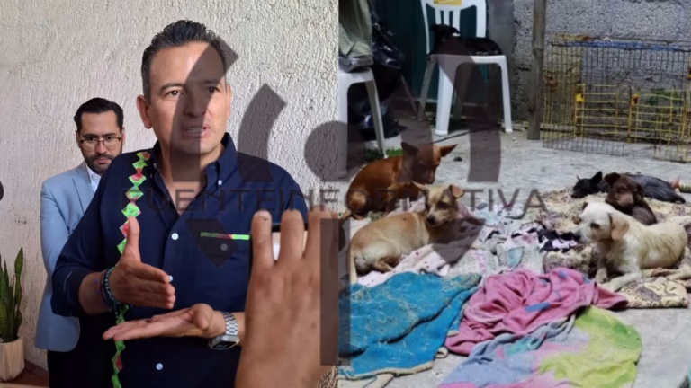 Diseño sin título (98)