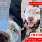 PHOTO-2025-08-05-13-17-32