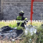 PHOTO-2025-08-12-13-47-50