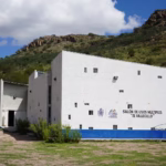 WhatsApp Image 2025-08-01 at 11.50.48 AM (1)