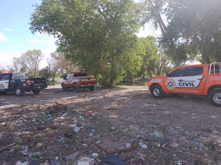 WhatsApp Image 2025-08-04 at 11.31.23 AM