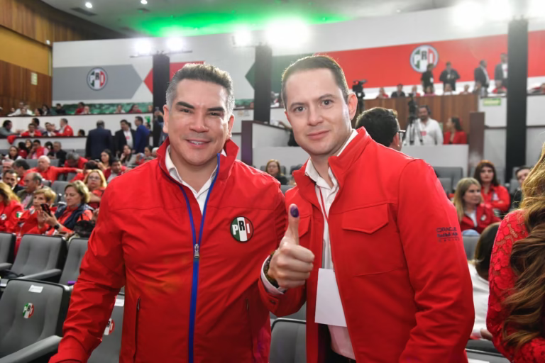 WhatsApp Image 2025-08-04 at 11.41.41