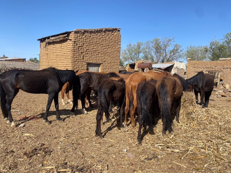 WhatsApp Image 2025-08-04 at 2.09.00 PM (2)