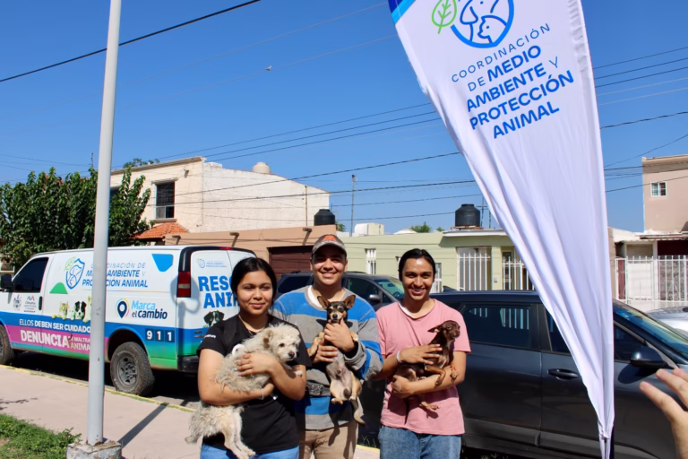 WhatsApp Image 2025-08-08 at 10.50.31 AM