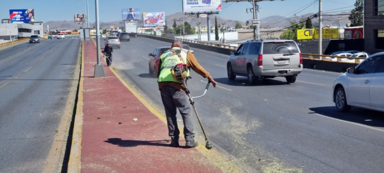 WhatsApp Image 2025-08-08 at 8.58.06 AM (1)