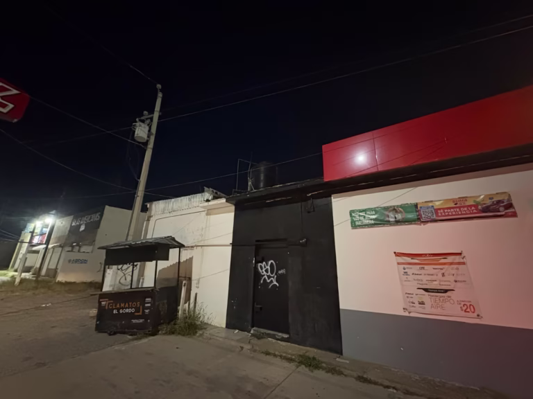 WhatsApp Image 2025-08-11 at 9.16.40 AM