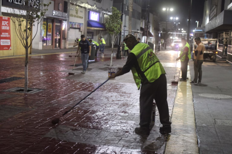 WhatsApp Image 2025-08-12 at 10.18.39 AM