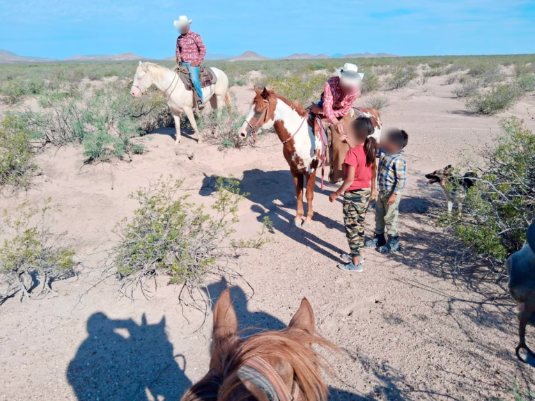 WhatsApp Image 2025-08-14 at 12.37.33