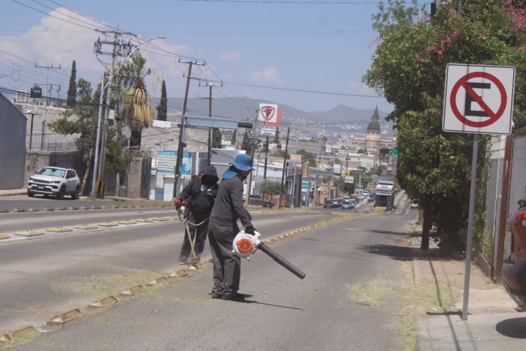 WhatsApp Image 2025-08-14 at 9.04.16 AM (1)