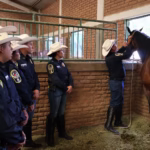 WhatsApp Image 2025-08-15 at 10.09.35 AM