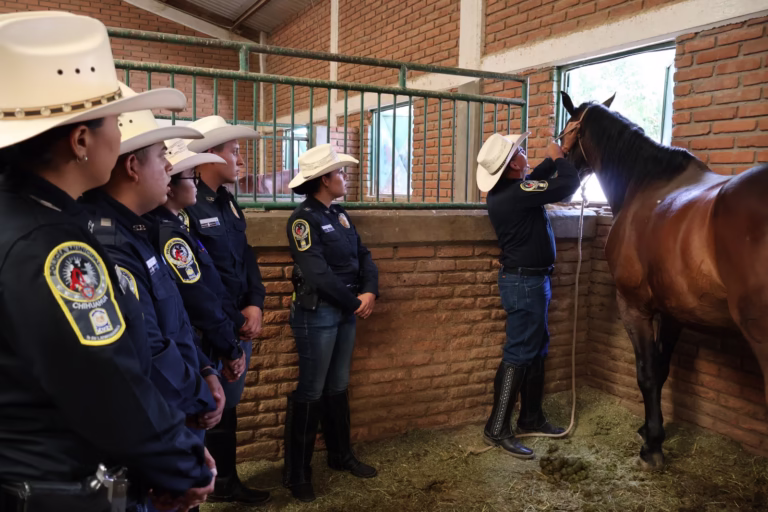 WhatsApp Image 2025-08-15 at 10.09.35 AM