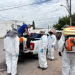 WhatsApp Image 2025-08-16 at 8.16.29 AM