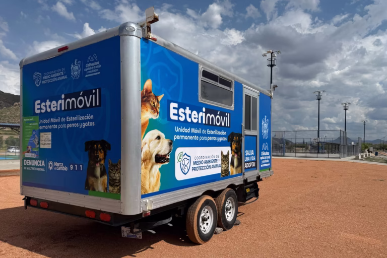 WhatsApp Image 2025-08-18 at 11.04.19 AM (1)