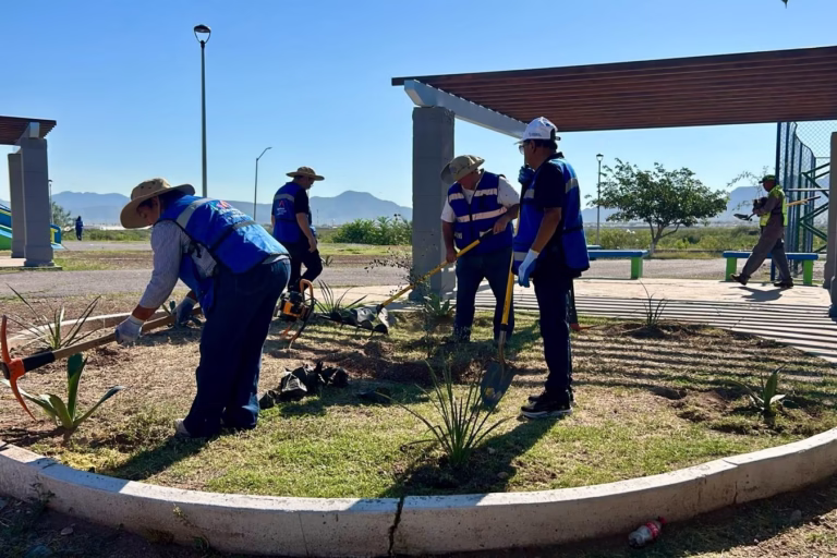 WhatsApp Image 2025-08-20 at 9.44.10 AM