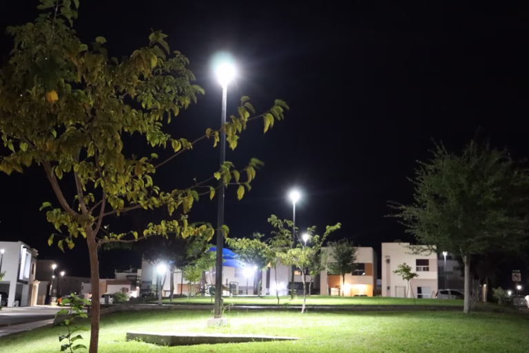 WhatsApp Image 2025-08-29 at 8.48.49 AM