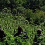 Imagen de WhatsApp 2025-09-11 a las 09.07.55_6fa90dad