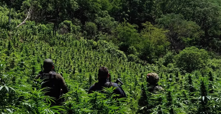 Imagen de WhatsApp 2025-09-11 a las 09.07.55_6fa90dad