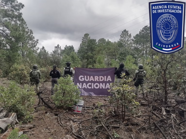 Imagen de WhatsApp 2025-09-17 a las 15.51.17_c3050c61