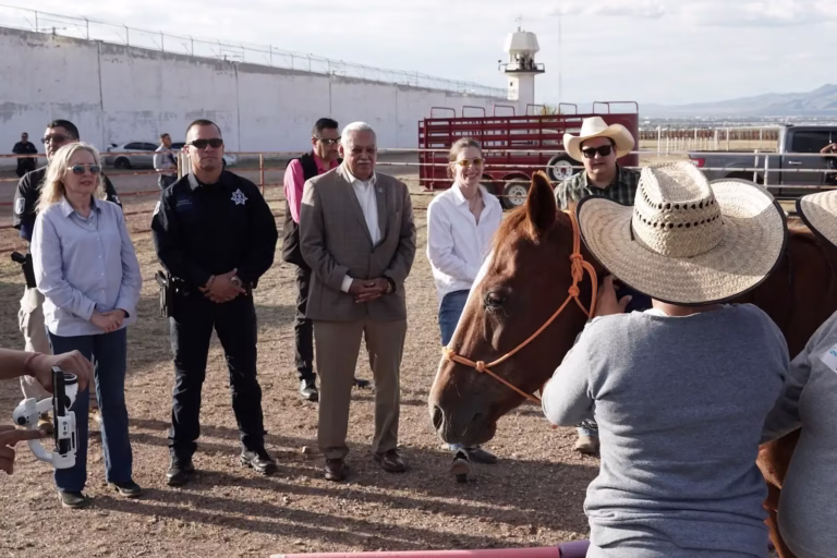 Imagen de WhatsApp 2025-09-23 a las 09.50.30_5bf04b92