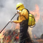 P7_IncendiosForestales_GobMxDocumentos