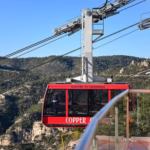 WhatsApp Image 2024-01-11 at 2.39.47 PM.jpeg