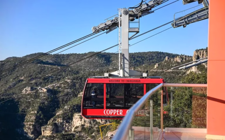 WhatsApp Image 2024-01-11 at 2.39.47 PM.jpeg