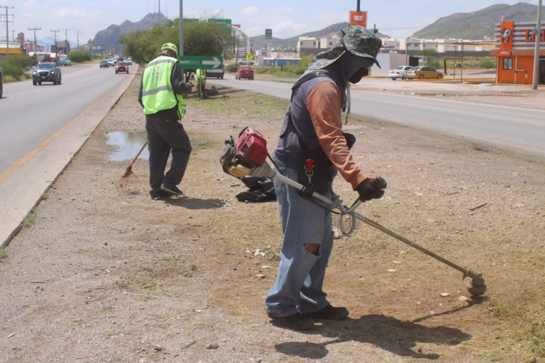 WhatsApp Image 2025-09-02 at 8.31.04 AM