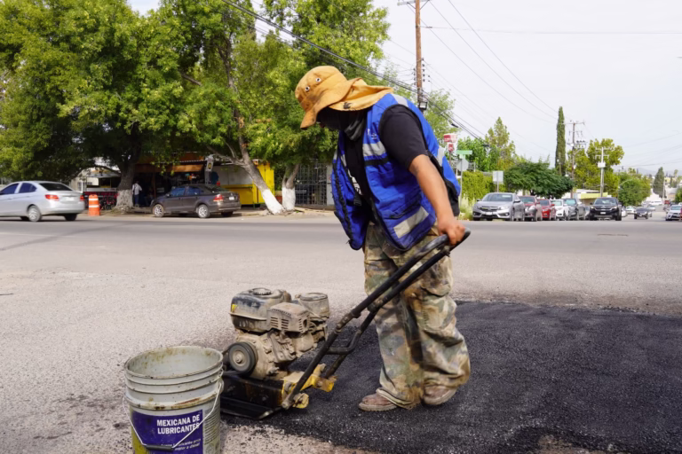 WhatsApp Image 2025-09-05 at 1.50.31 PM