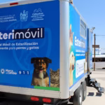 WhatsApp Image 2025-09-05 at 10.18.28 AM (1)