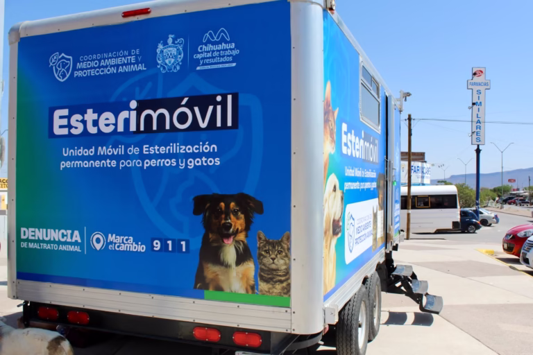 WhatsApp Image 2025-09-05 at 10.18.28 AM (1)