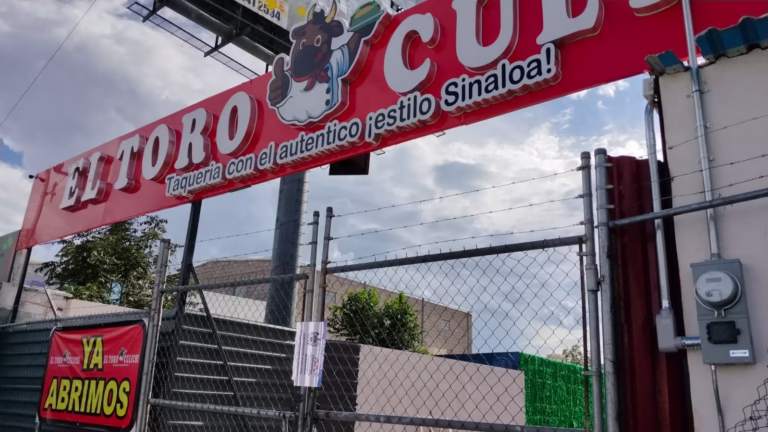 WhatsApp Image 2025-09-15 at 10.04.10 AM