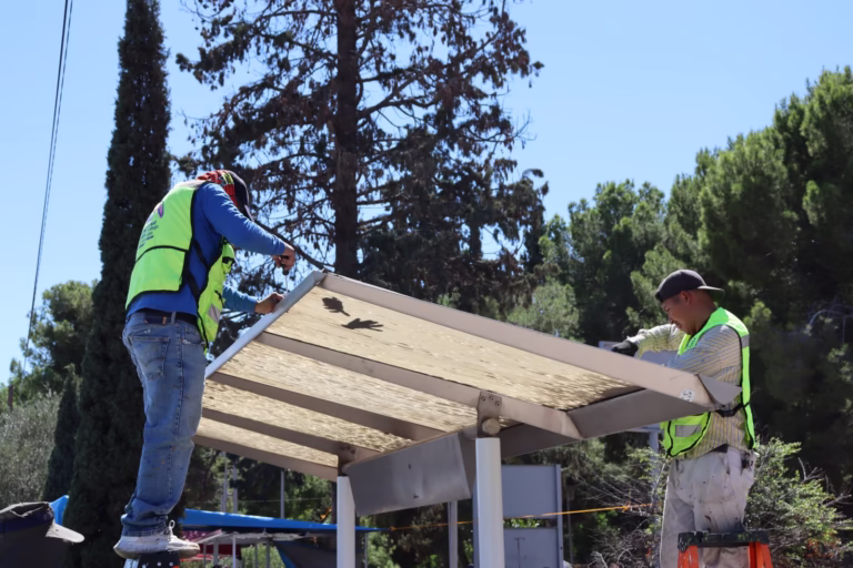 WhatsApp Image 2025-09-26 at 9.33.05 AM