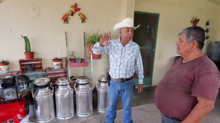 WhatsApp Image 2025-09-29 at 09.47.37