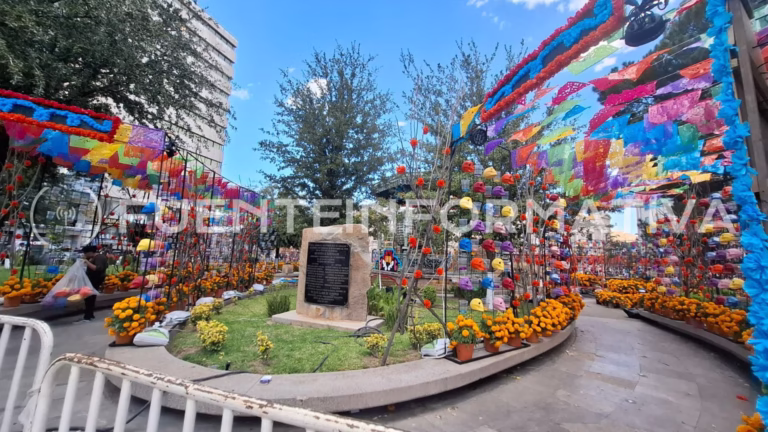 Diseño sin título (28)