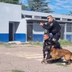 Imagen de WhatsApp 2025-10-05 a las 09.17.04_0138efff