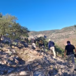 Imagen de WhatsApp 2025-10-16 a las 10.44.10_67445d63