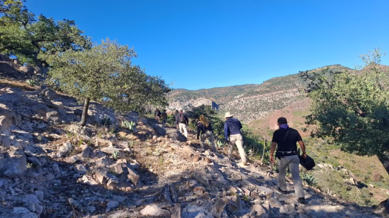 Imagen de WhatsApp 2025-10-16 a las 10.44.10_67445d63