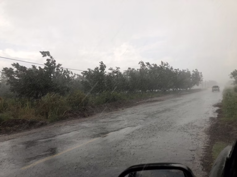 Imagen de WhatsApp 2025-10-21 a las 14.30.20_8276fe46