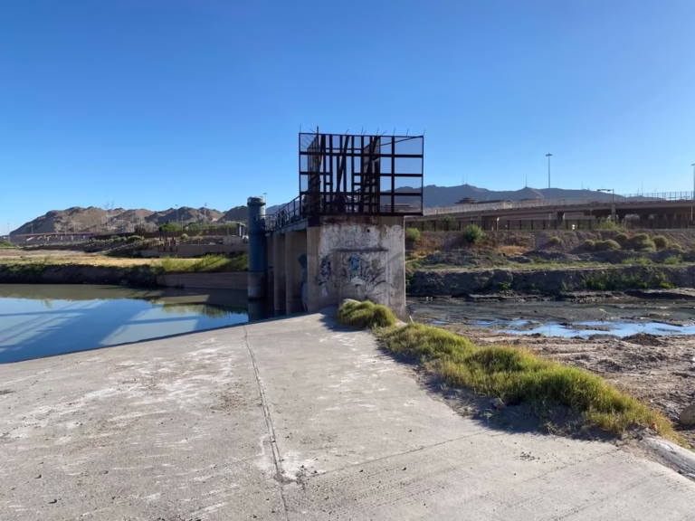 WhatsApp Image 2022-06-08 at 2.56.28 PM (1)